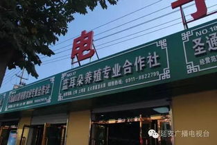 延長有機(jī)農(nóng)特產(chǎn)品直銷市場暨電子商務(wù)體驗區(qū) 開啟電子產(chǎn)品批發(fā)零售新篇章