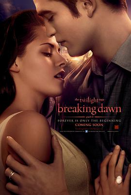 犯罪电影钢筋森林免费观看